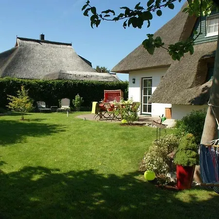 Reethus Starkikker