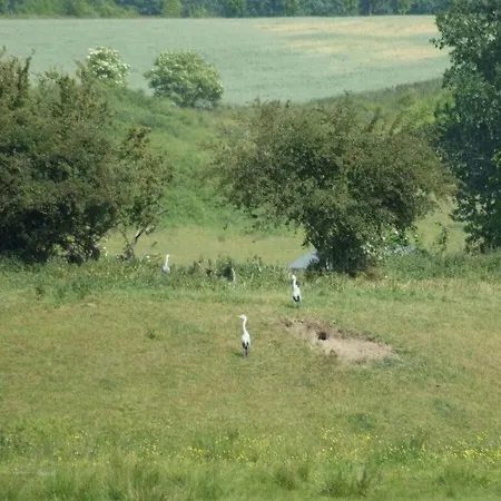 Reethus Starkikker Heringsdorf (Usedom)